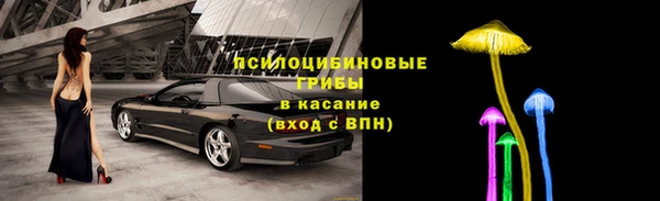прущие крисы Беломорск